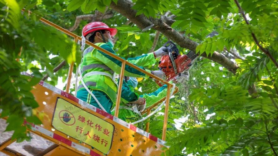 6楼露台园林景观设计